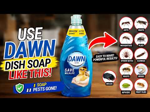 This $3 Dish Soap Kills 11 Different Pests (Ants, Wasps, Moles & More)