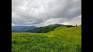 Grassy Gap - Yellow Mountain State Natural Area, NC