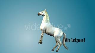 White Horse Rearing 01 | Motion Graphics - Envato elements