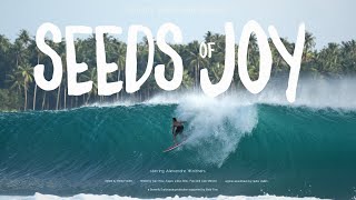 INSPIRING SURF IN NIAS  Seeds Of Joy