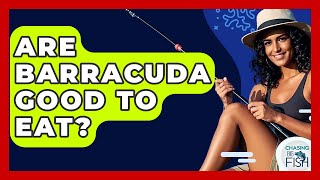 Are Barracuda Good To Eat? - Chasing Big Fish