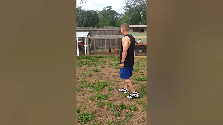 redneck fun