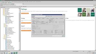 Apparel Inventory Item Product Matrix for Sage 100 ERP