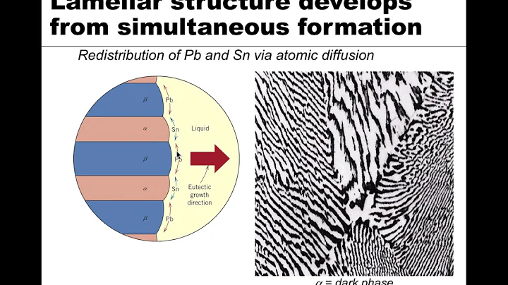 MSE 201 S21 Lecture 34 - Module 2 - Binary Eutectic Phase Diagrams Part 2