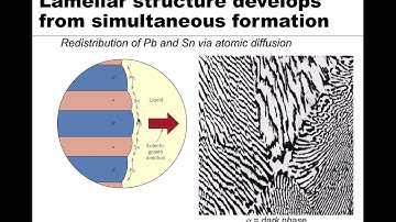 MSE 201 S21 Lecture 34 - Module 2 - Binary Eutectic Phase Diagrams Part 2
