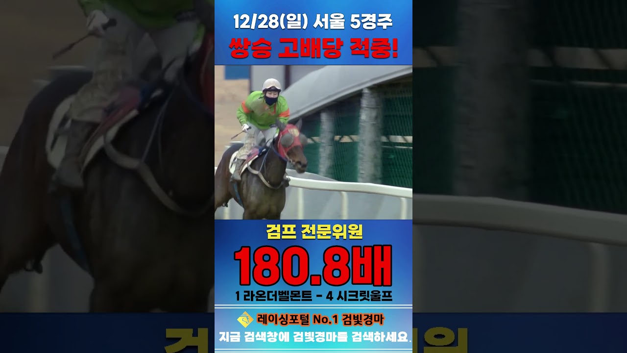 [서울 경마] 12월 28일 일요 5경주 검프 전문위원 쌍승 고배당 적중 #경마 #horse #한국마사회 #automobile #하이라이트 #비트코인