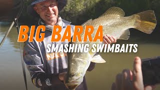 BIG barra smashing swimbaits | Lee Rayner Fishing | Anaconda Stores