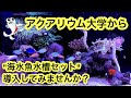 海水魚 飼育セット 266787-海水魚 飼育セット 初心者