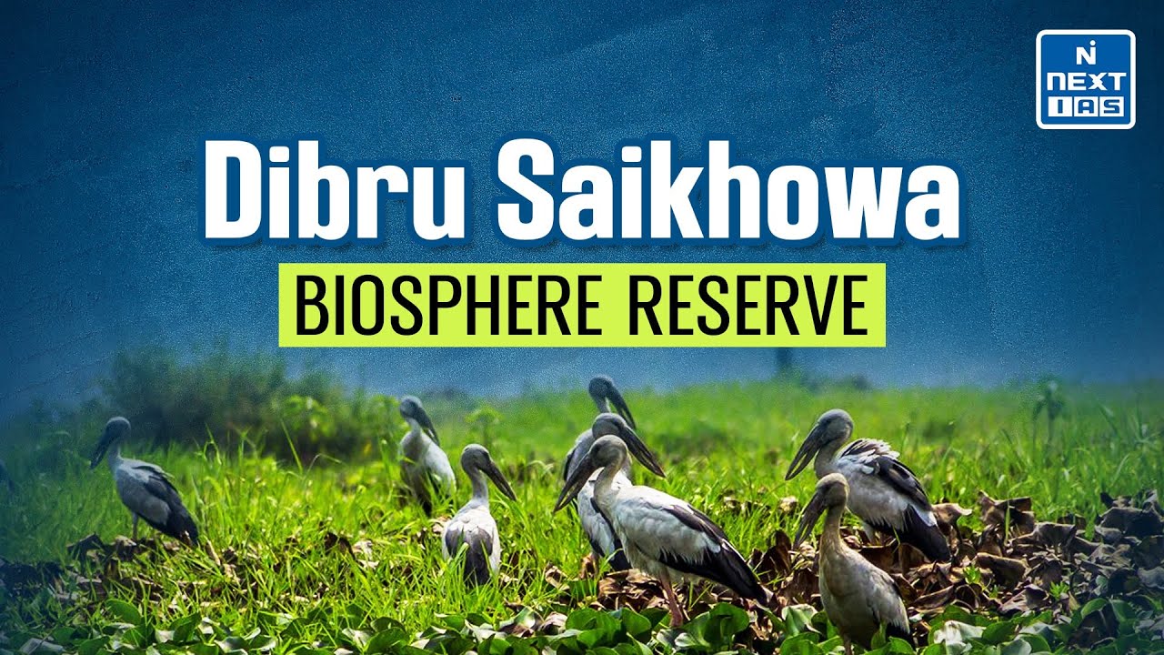 Biosphere Reserves in India (Through Animation) - Dibru-Saikhowa ...