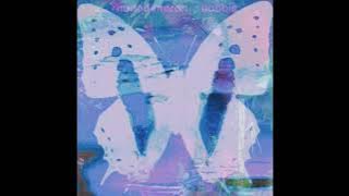 bobbie - Picture Liar