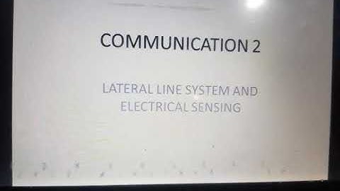 Lateral line system and electrical sensing