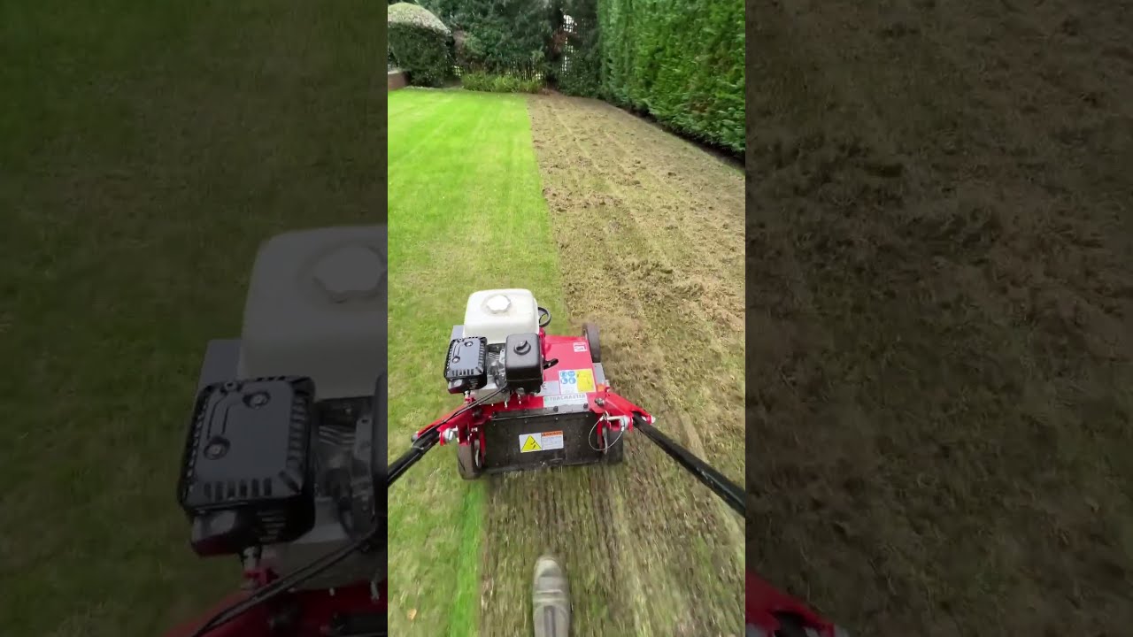 Camon Ls42 Scarifier Garden Lawncare