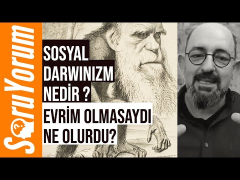 SoruYorum - Evrim Olmasaydı Ne Olurdu? Sosyal Darwinizm Nedir?