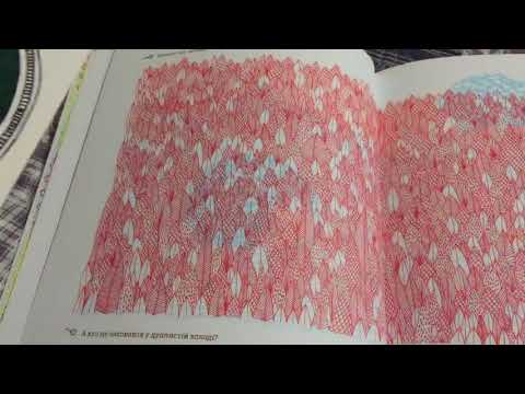 Обзор книги "Що ховається у лісі?" Айна Бестард видавництво Старого Лева