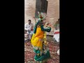 Jhula jhulo Re Radha Rani jhanki Mp3 Song