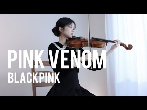 Blackpink - Pink Venom - Viola Cover