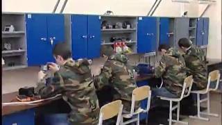 Новый год -- новый статус Новый год -- новый статус