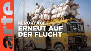 Syrien-Libanon: Wieder vertrieben