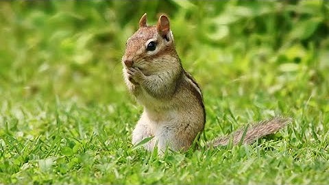 Spring creations | PhotoLink Library