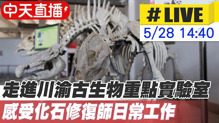 【中天直播#LIVE】走進川渝古生物重點實驗室  感受化石修復師日常工作 20230528 @Global_Vision - 天天要聞