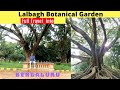 Botanical Garden, Bengaluru,  FULL TOUR