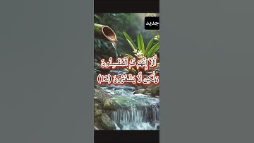 سورة البقرة للقارئ / سعود الفايز