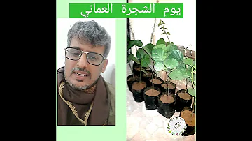 يوم الشجرة العماني احتفظوا ب شتلات عام اخر حتى تزرع في أماكنها المناسبة 