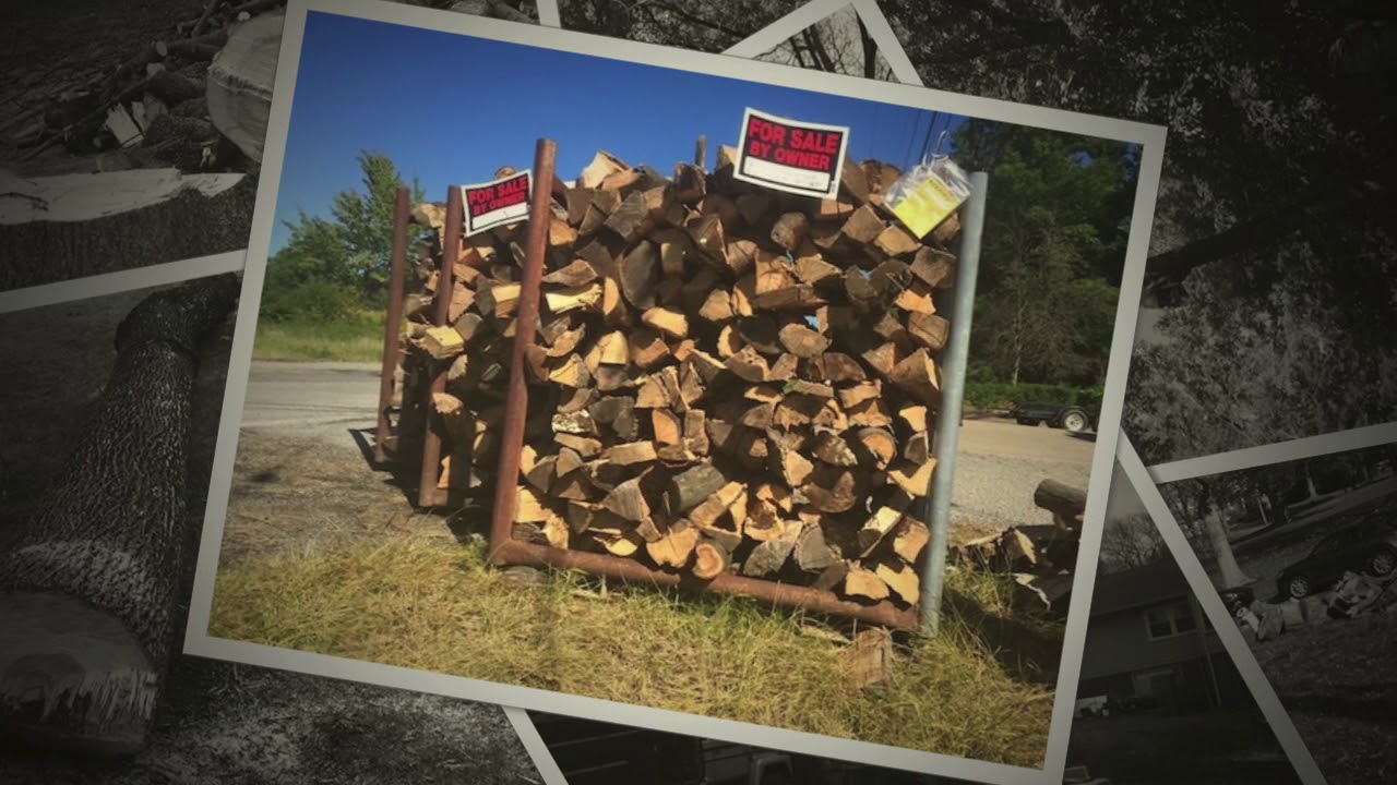 tree service cleveland cost cleveland tree service video youtube tree service cleveland cost cleveland tree service video youtube