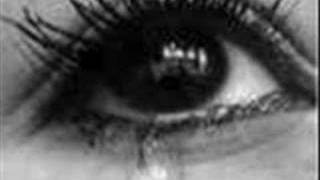 Anton & affe - 26 dec