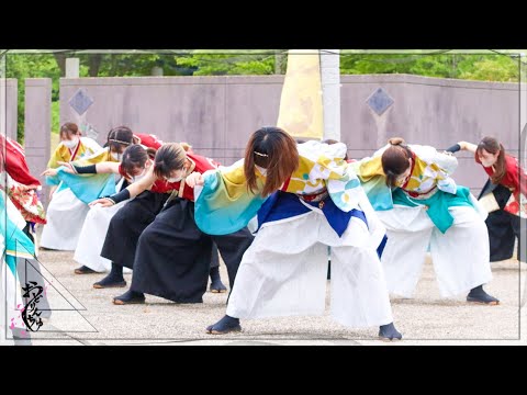 【公式】縄文・宮戸祭り 南中ソーラン
