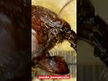 Hormigas bajo el microscopio  https://youtu.be/DdQwTUVQ38M