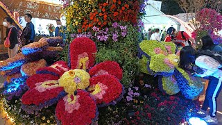 RELAXING SPOT with Music by: DJ VINCENT original composition #flowers #touristattraction #hongkong 