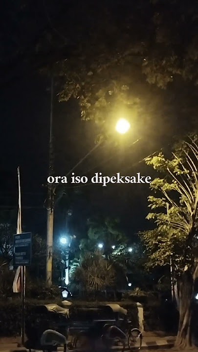 sepurane urung iso dadi opo seng mbok karepke #liriklagu #lagujawa #fypシ゚viral