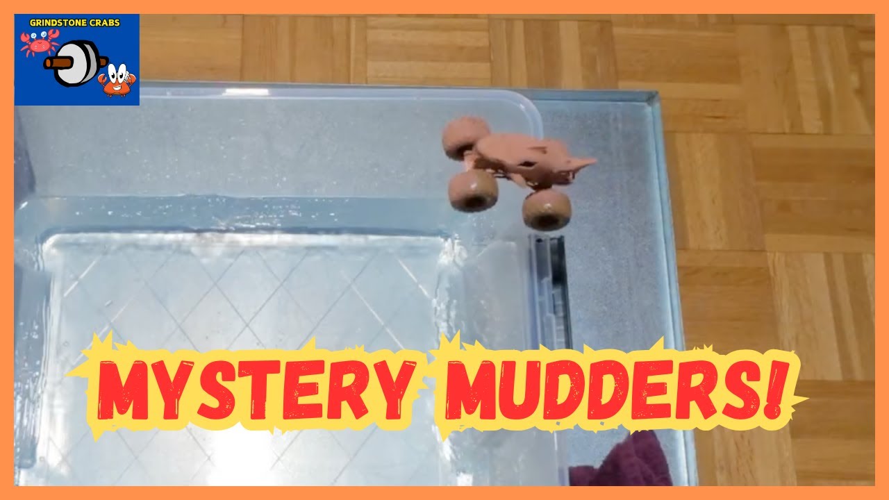 Are Your Ready To Reveal Monster Jam Mystery Mudders Monster Trucks ...