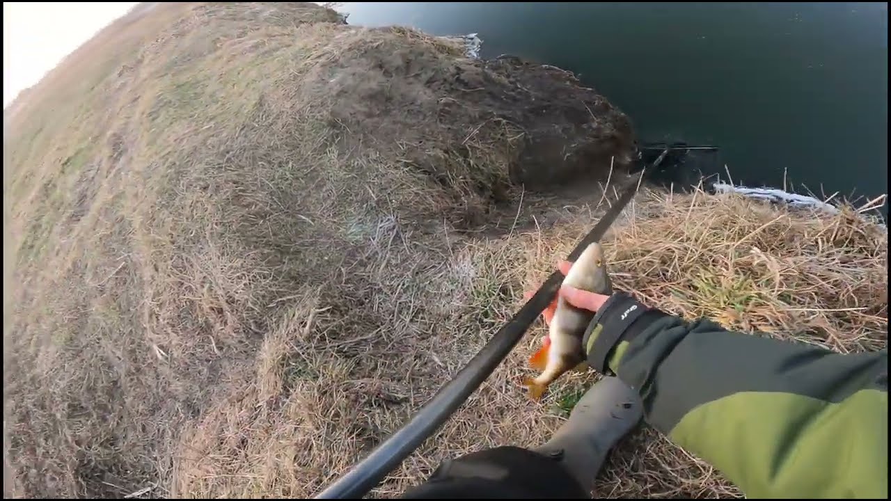 NIC NIE ZŁAPIESZ , NIE MA RYB MÓWILI, GDZIEŚ POSZŁY. A JA ZNALAZŁEM I ZŁOWIŁEM RYBY!