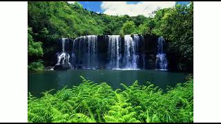 Cemal Öztaş - Nerdesin