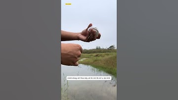 thử thách thách câu cá bằng flycam và cái kết #fishing #cauca