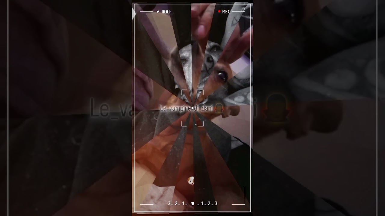 Video dedicato al suo amore a 4 zampe 🐾 ❤️ #danien #perte