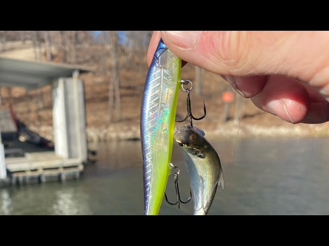 Don't Fish Swimjigs This Spring Like A Clueless Newbie 