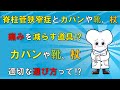 脊柱管狭窄症とカバンや靴、杖 適切な選び方は⁉ 【医師が解説】