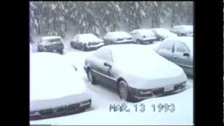 Blizzard of '93 (Neve em Atlanta 1993)