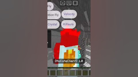 Protohax is back😎 #minecraft #protohax #hacker