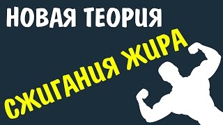 Новая теория ЖИРОСЖИГАНИЯ от Селуянова! Как ПОХУДЕТЬ и убрать жир? Новая теория ЖИРОСЖИГАНИЯ от Селуянова! Как ПОХУДЕТЬ и убрать жир?