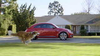 The Dog Strikes Back 2012 Volkswagen Game Day Commercial screenshot 5