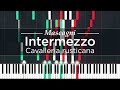 Mascagni: Intermezzo (Cavalleria rusticana) // Gavazzeni