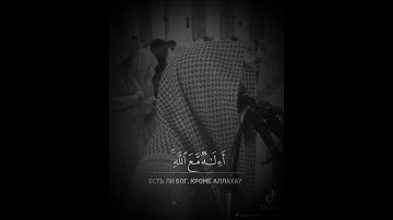 آيات من سورة النمل… الشيخ محمد اللحيدان ……"أمَّنْ يُجِيبُ المضْطَرَّ إذا دَعَاهُ"