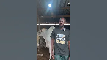 Https Youtu Be MVQYf6uCGbU 