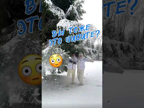 На каждой красивой фотосессии есть свой #тайныйсанта 🎅 🤣 #кириллтуриченко #нг #сновымгодом
