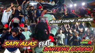 MBEROT! POHKECIK MEMANAS SAPI ALAS BERINGAS | BANTENG LORENG feat SAPI ALAS Live Pohkecik Wajak