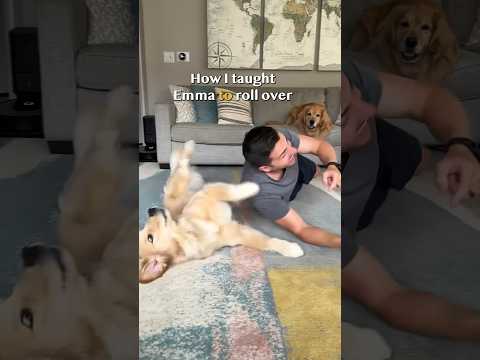 Video: 10 báječných způsobů, jak spojit se svým psem